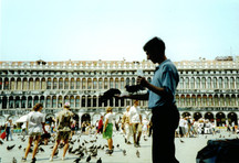 [Woodley's Pidgeons in Piazza San Marco]