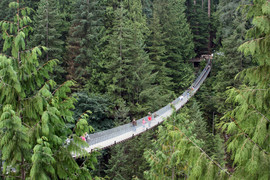 [Famous Suspension Bridge]