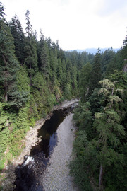 [Capilano River, Upstream]