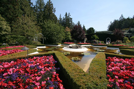 Circle Star, Italian Garden