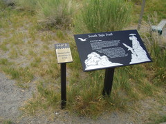 [South End of the Tufa at Mono Lake]