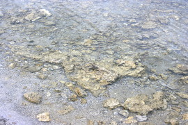 [Tufa Forming From Bubbling Water Full of Calcium Carbonate]