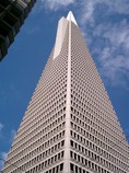 [The Transamerica Pyramid]