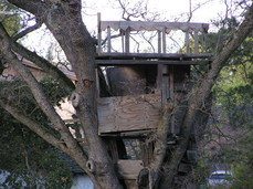 [Treehouse]