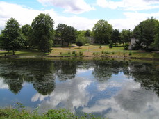 [Murky Duck-Lake Outside Apartment]