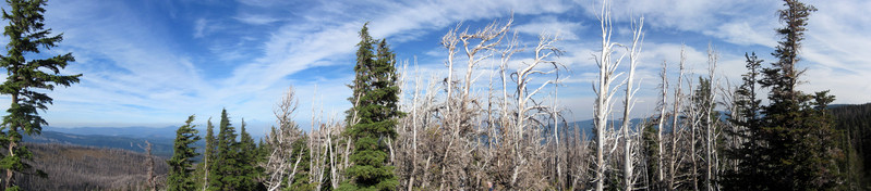 [North from Cloud Cap Point]