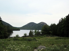 [Jordan Pond House Lunch, Acadia NP]