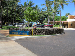 [Waikiki Aquarium]