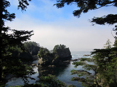 [Cape Flattery]