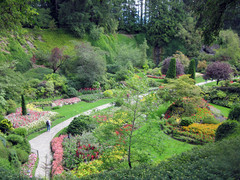 [Butchart Gardens, Redux]