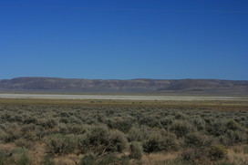 [The Alvord Desert]