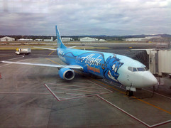 [Genie Plane!]