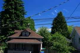 [Polarizer Test]