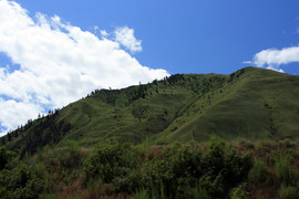 [Yep, green hills in June!]