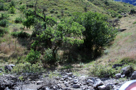 [Nez Perce Crossing Point]