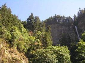 [Multnomah Falls]