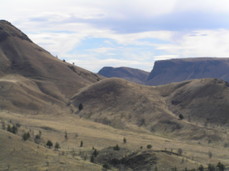 [Blurry Close-Up of Easterly Rocks]