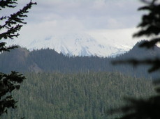 [Mt. Jefferson]