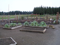 [Vegetable Garden (Cardunes?)]