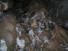 [Icy Rocks, Near Main Entrace]