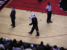 [Blazers Mascot]