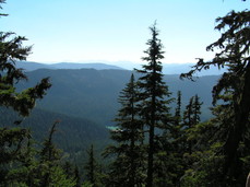 [The Three Sisters? (To the Left of the Tree)]