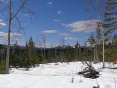 [Mt. St. Helens]