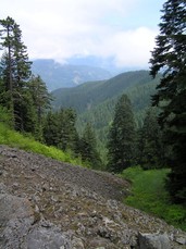 [Looking Back Towards the Gorge]