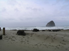 [Beach in front of the Pelican Pub]