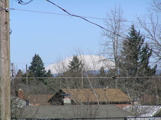 [Mt. St. Helens]