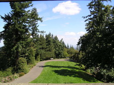 [View of the Lawn from Upstairs]