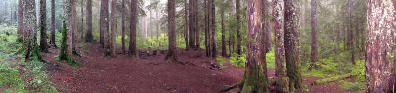 [Campground at Intersection of Ruckel Creek/Ridge Trails]