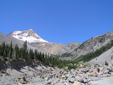 [Looking Up at Gnarl Ridge from the Canyon]