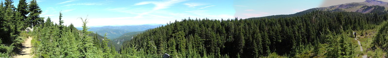 [180-degree panorama of a meadow and mountains]