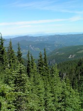 [Mt. St. Helens]