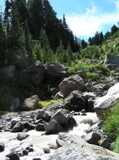 [A Big Roaring Creek]