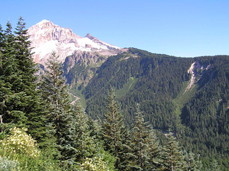 [Muddy River Valley from the Lookout Point (0)]