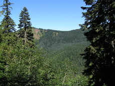 [Bald Mountain (NW of Ramona Falls)]