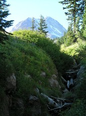 [Southeast Face of Mt. Hood]