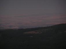 [Close-Up of the Darkening Desert]