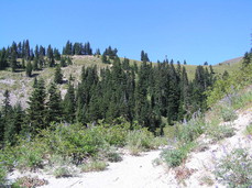 [Sandy Trails Northwest of the Canyon]