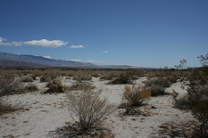 [North of East, from the Visitor Center]