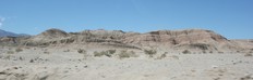 [Back to Anza-Borrego Desert]