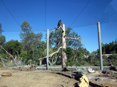 [San Diego Zoo]