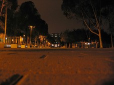 [Snail's View of Library Walk]