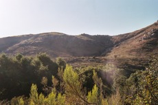 [Mountains by the San Diego River]