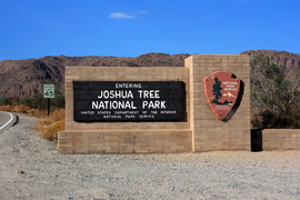 [Joshua Tree Nat'l Park]