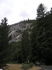 [Trees and Rock Near the Rest Stop]