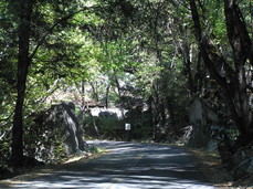 [NE on Hetch Hetchy Road]