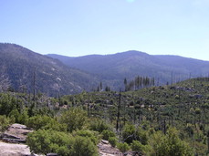 [Foresta, California, South of Tamarack Flat]